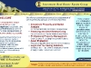 IREEG.com